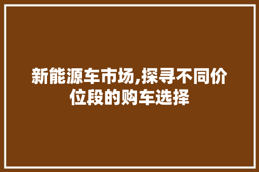 新能源车市场,探寻不同价位段的购车选择