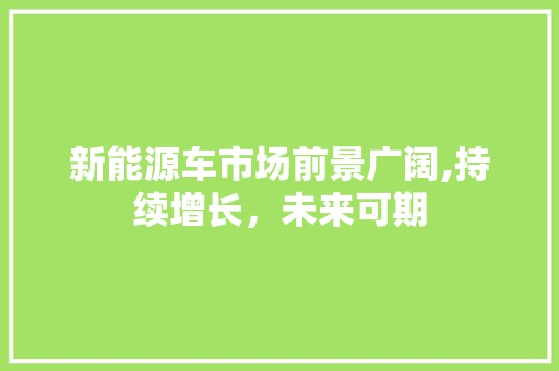 新能源车市场前景广阔,持续增长，未来可期
