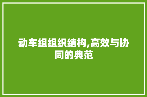 动车组组织结构,高效与协同的典范