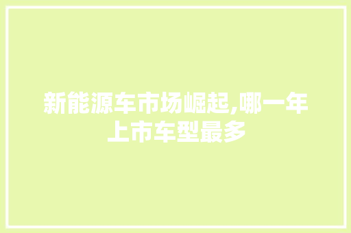 新能源车市场崛起,哪一年上市车型最多 底盘配件
