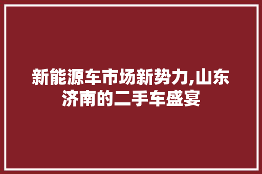新能源车市场新势力,山东济南的二手车盛宴
