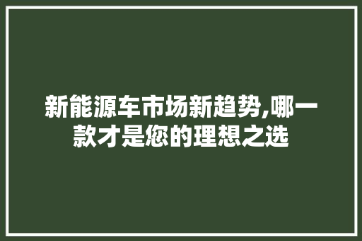 新能源车市场新趋势,哪一款才是您的理想之选