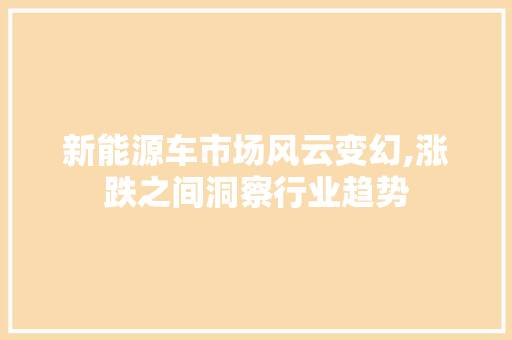 新能源车市场风云变幻,涨跌之间洞察行业趋势