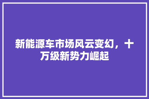 新能源车市场风云变幻，十万级新势力崛起 新款车型