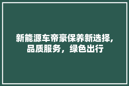 新能源车帝豪保养新选择,品质服务，绿色出行