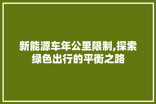 新能源车年公里限制,探索绿色出行的平衡之路 车身配件