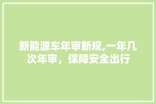 新能源车年审新规,一年几次年审，保障安全出行