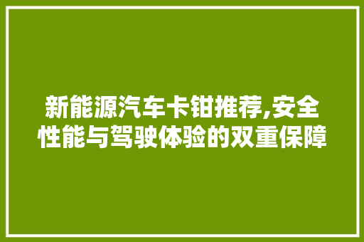 新能源汽车卡钳推荐,安全性能与驾驶体验的双重保障