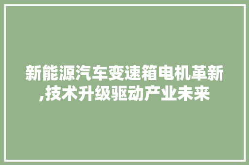 新能源汽车变速箱电机革新,技术升级驱动产业未来