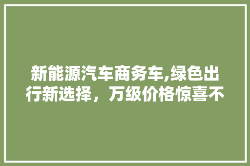 新能源汽车商务车,绿色出行新选择，万级价格惊喜不断