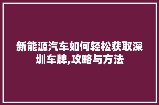 新能源汽车如何轻松获取深圳车牌,攻略与方法
