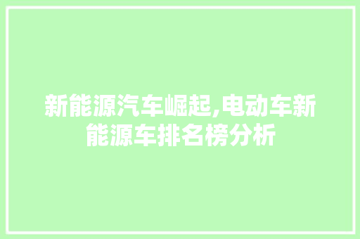 新能源汽车崛起,电动车新能源车排名榜分析