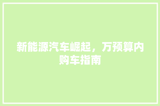 新能源汽车崛起，万预算内购车指南