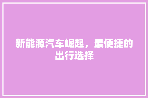 新能源汽车崛起，最便捷的出行选择