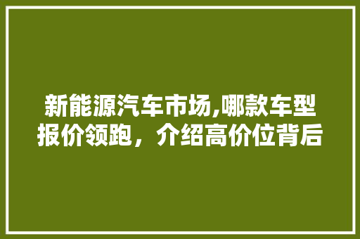 新能源汽车市场,哪款车型报价领跑，介绍高价位背后的原因