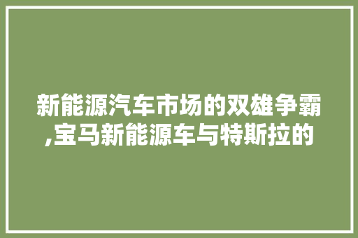 新能源汽车市场的双雄争霸,宝马新能源车与特斯拉的较量 发动机配件
