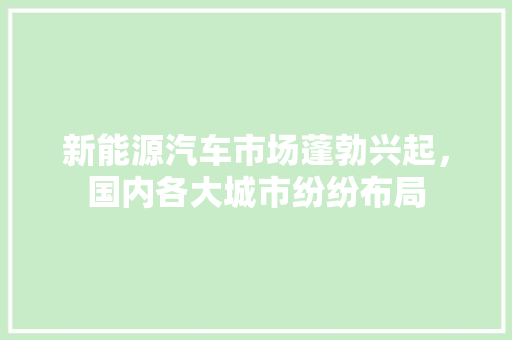 新能源汽车市场蓬勃兴起，国内各大城市纷纷布局