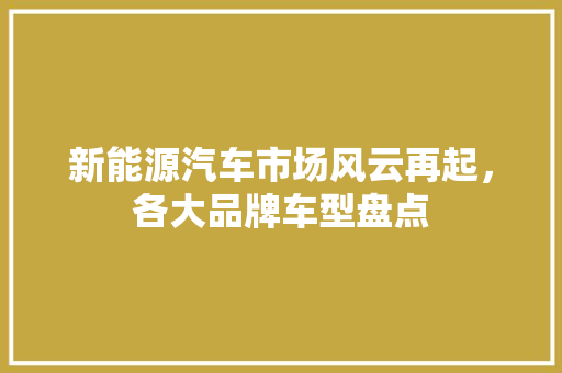 新能源汽车市场风云再起，各大品牌车型盘点