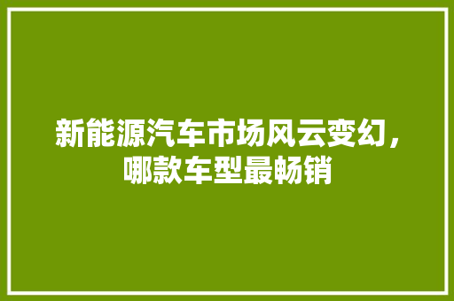 新能源汽车市场风云变幻，哪款车型最畅销