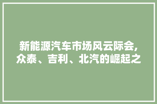 新能源汽车市场风云际会,众泰、吉利、北汽的崛起之路