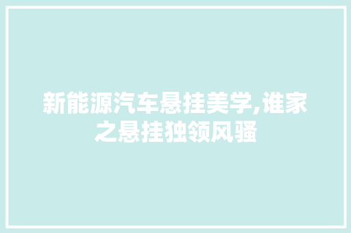 新能源汽车悬挂美学,谁家之悬挂独领风骚