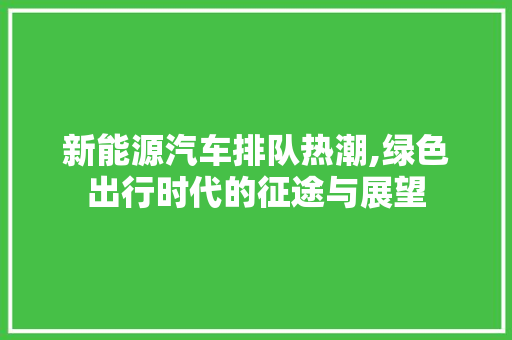 新能源汽车排队热潮,绿色出行时代的征途与展望
