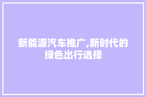 新能源汽车推广,新时代的绿色出行选择