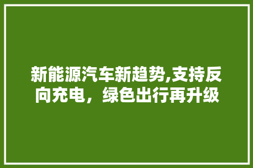 新能源汽车新趋势,支持反向充电，绿色出行再升级 底盘配件