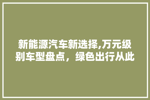 新能源汽车新选择,万元级别车型盘点，绿色出行从此不再遥远 发动机配件