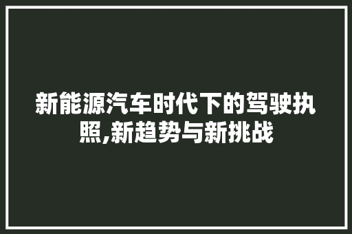新能源汽车时代下的驾驶执照,新趋势与新挑战