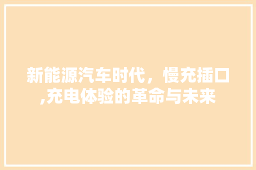 新能源汽车时代，慢充插口,充电体验的革命与未来