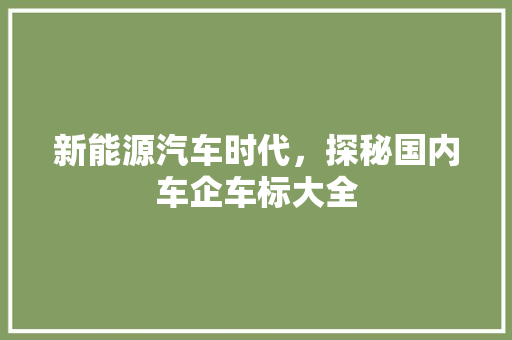 新能源汽车时代，探秘国内车企车标大全