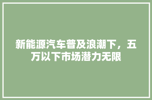 新能源汽车普及浪潮下，五万以下市场潜力无限