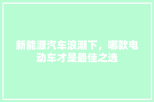 新能源汽车浪潮下，哪款电动车才是最佳之选