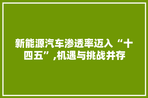 新能源汽车渗透率迈入“十四五”,机遇与挑战并存