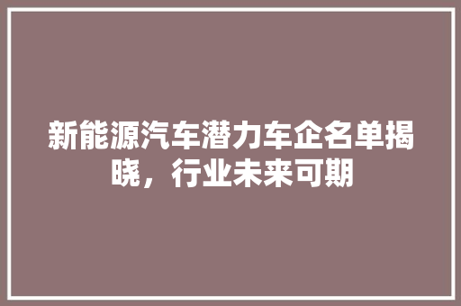 新能源汽车潜力车企名单揭晓，行业未来可期