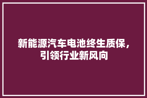 新能源汽车电池终生质保，引领行业新风向