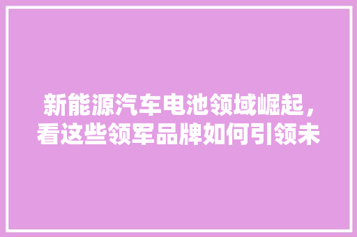 新能源汽车电池领域崛起，看这些领军品牌如何引领未来