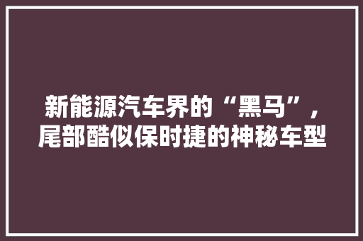 新能源汽车界的“黑马”,尾部酷似保时捷的神秘车型分析