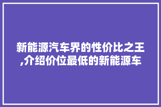 新能源汽车界的性价比之王,介绍价位最低的新能源车品牌