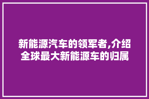 新能源汽车的领军者,介绍全球最大新能源车的归属