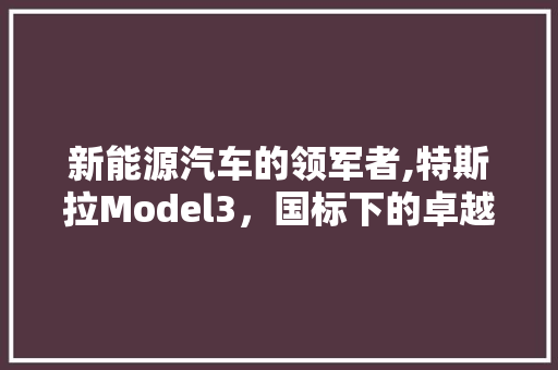 新能源汽车的领军者,特斯拉Model3，国标下的卓越典范