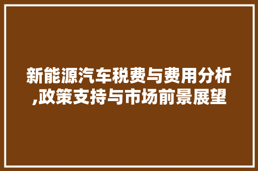 新能源汽车税费与费用分析,政策支持与市场前景展望
