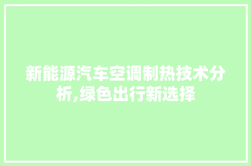 新能源汽车空调制热技术分析,绿色出行新选择