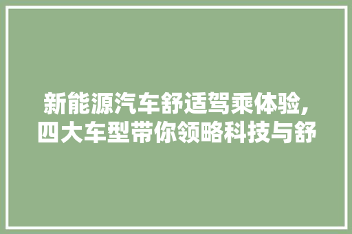 新能源汽车舒适驾乘体验,四大车型带你领略科技与舒适的完美结合