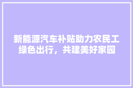 新能源汽车补贴助力农民工绿色出行，共建美好家园