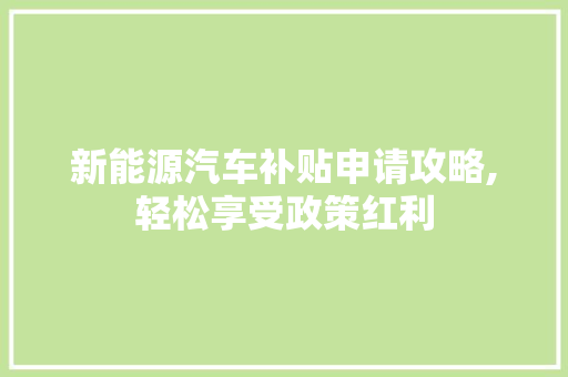 新能源汽车补贴申请攻略,轻松享受政策红利
