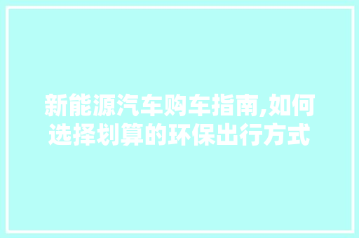 新能源汽车购车指南,如何选择划算的环保出行方式