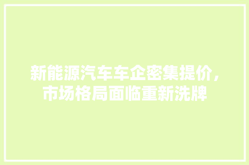 新能源汽车车企密集提价，市场格局面临重新洗牌 汽车配件