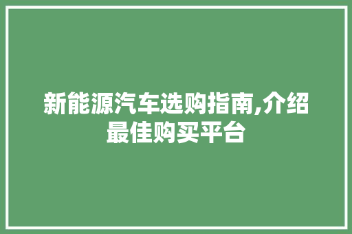 新能源汽车选购指南,介绍最佳购买平台
